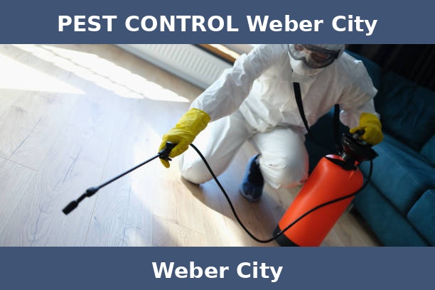 PEST CONTROL Weber City
